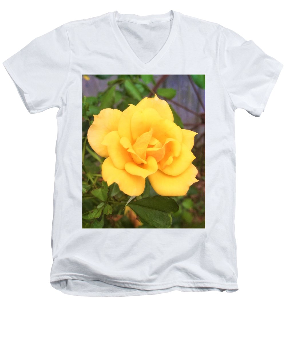 Eldon's Rose - Men's V-Neck T-Shirt