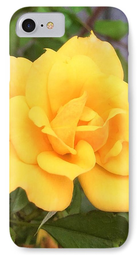 Eldon's Rose - Phone Case