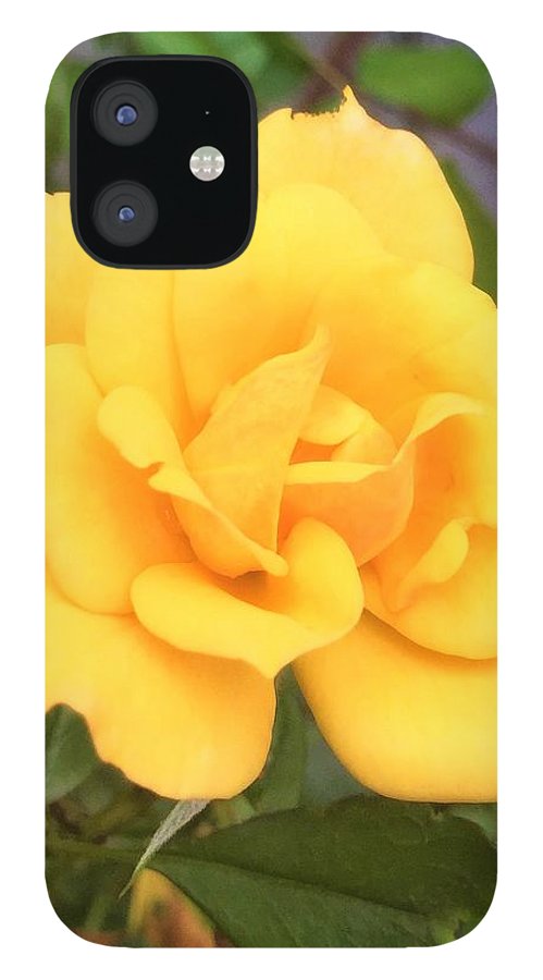 Eldon's Rose - Phone Case