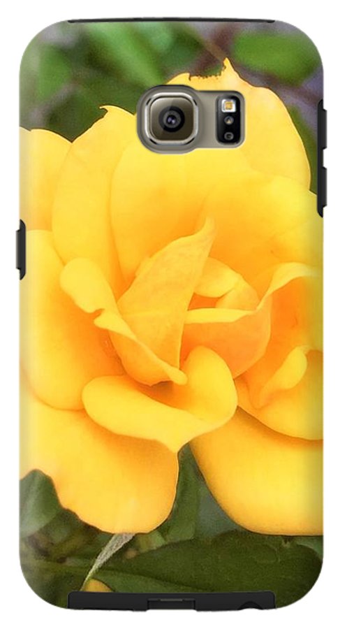 Eldon's Rose - Phone Case