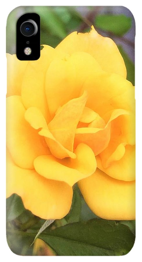 Eldon's Rose - Phone Case