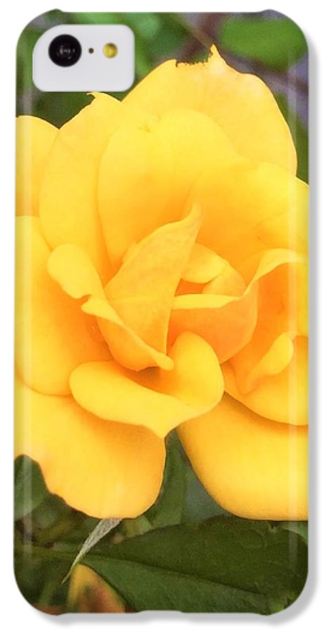 Eldon's Rose - Phone Case