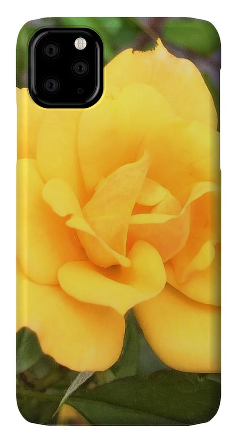 Eldon's Rose - Phone Case