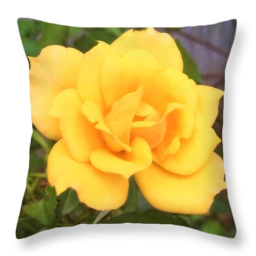 Eldon's Rose - Throw Pillow