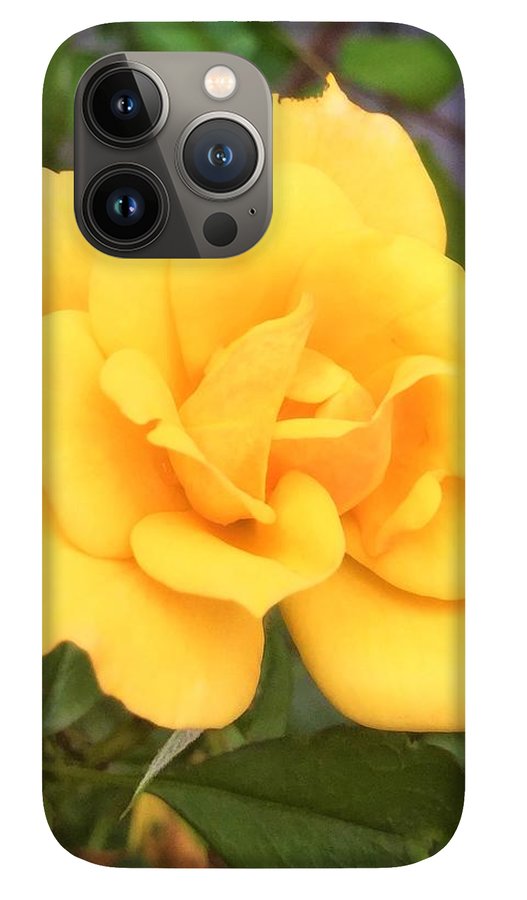 Eldon's Rose - Phone Case