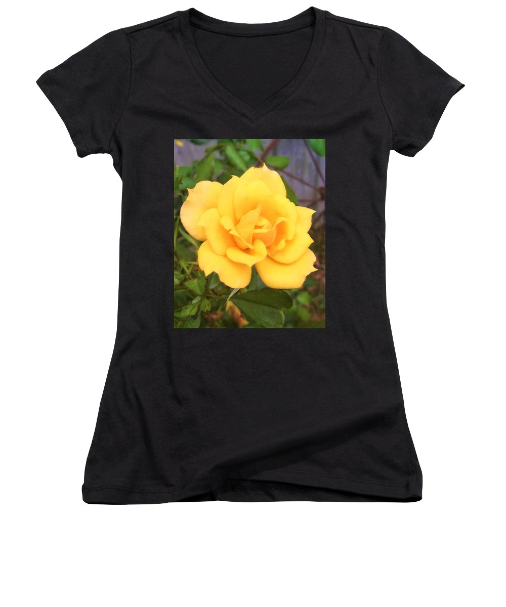 Eldon's Rose - Women's V-Neck