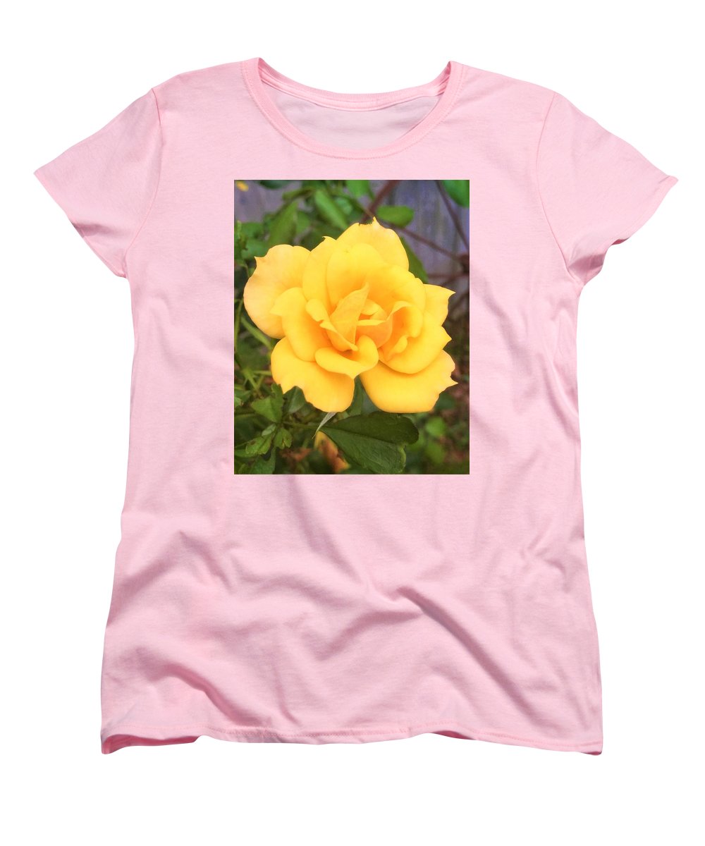 Eldon's Rose - Women's T-Shirt (Standard Fit)