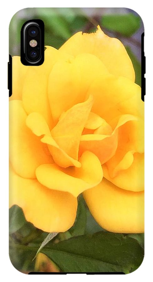 Eldon's Rose - Phone Case