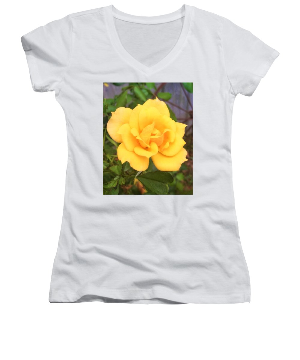 Eldon's Rose - Women's V-Neck