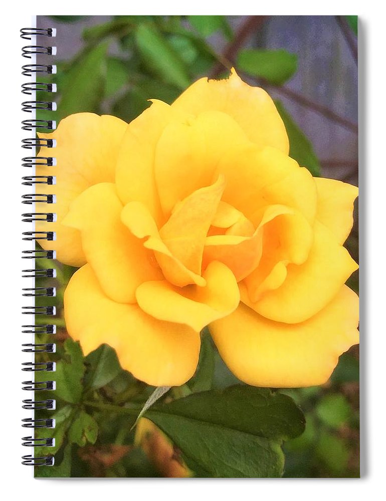 Eldon's Rose - Spiral Notebook