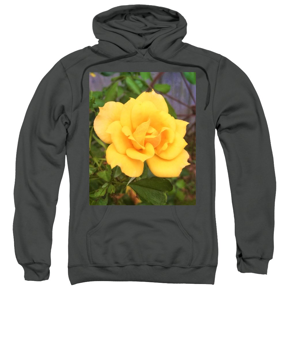 Eldon's Rose - Sweatshirt