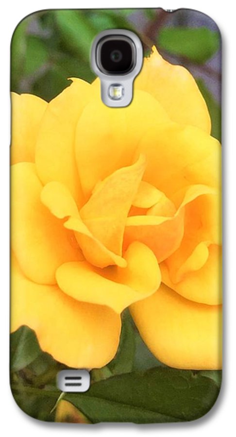 Eldon's Rose - Phone Case