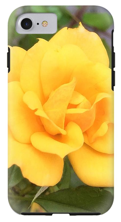 Eldon's Rose - Phone Case