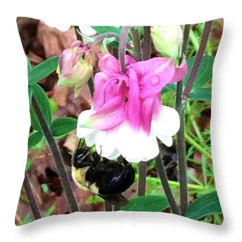 Entomophily - Throw Pillow