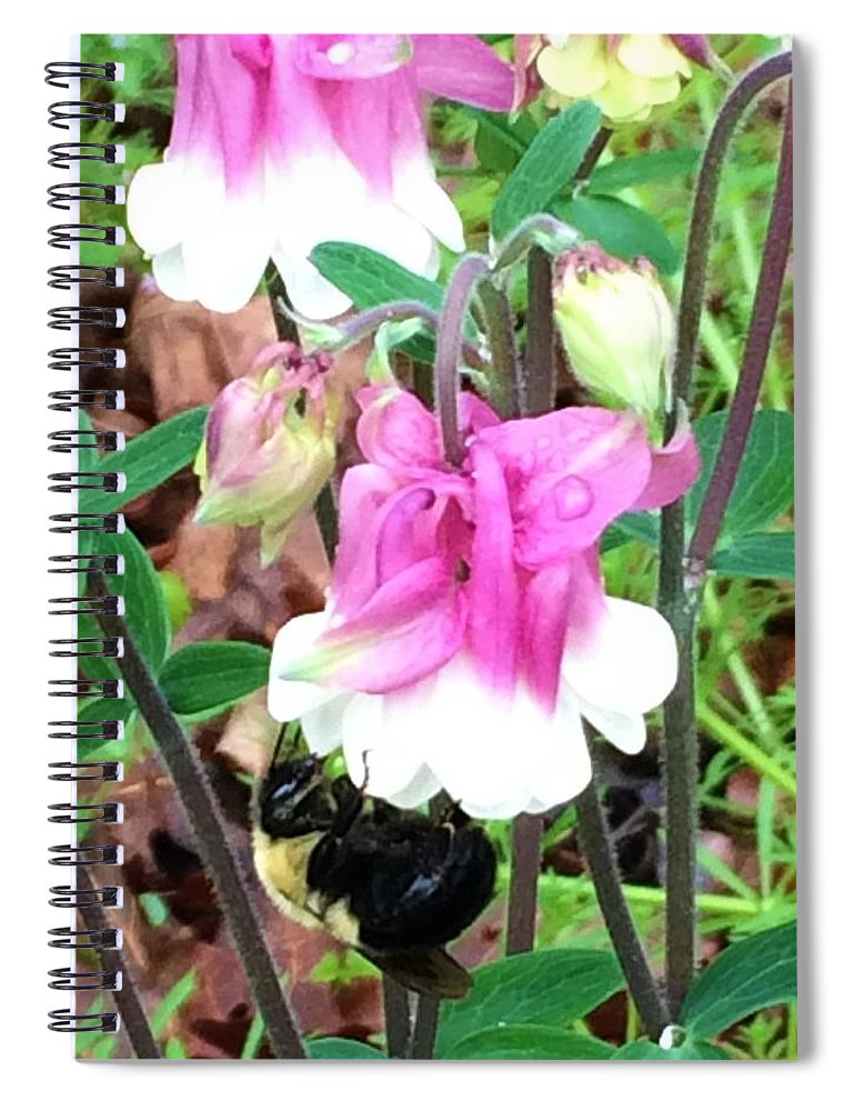 Entomophily - Spiral Notebook