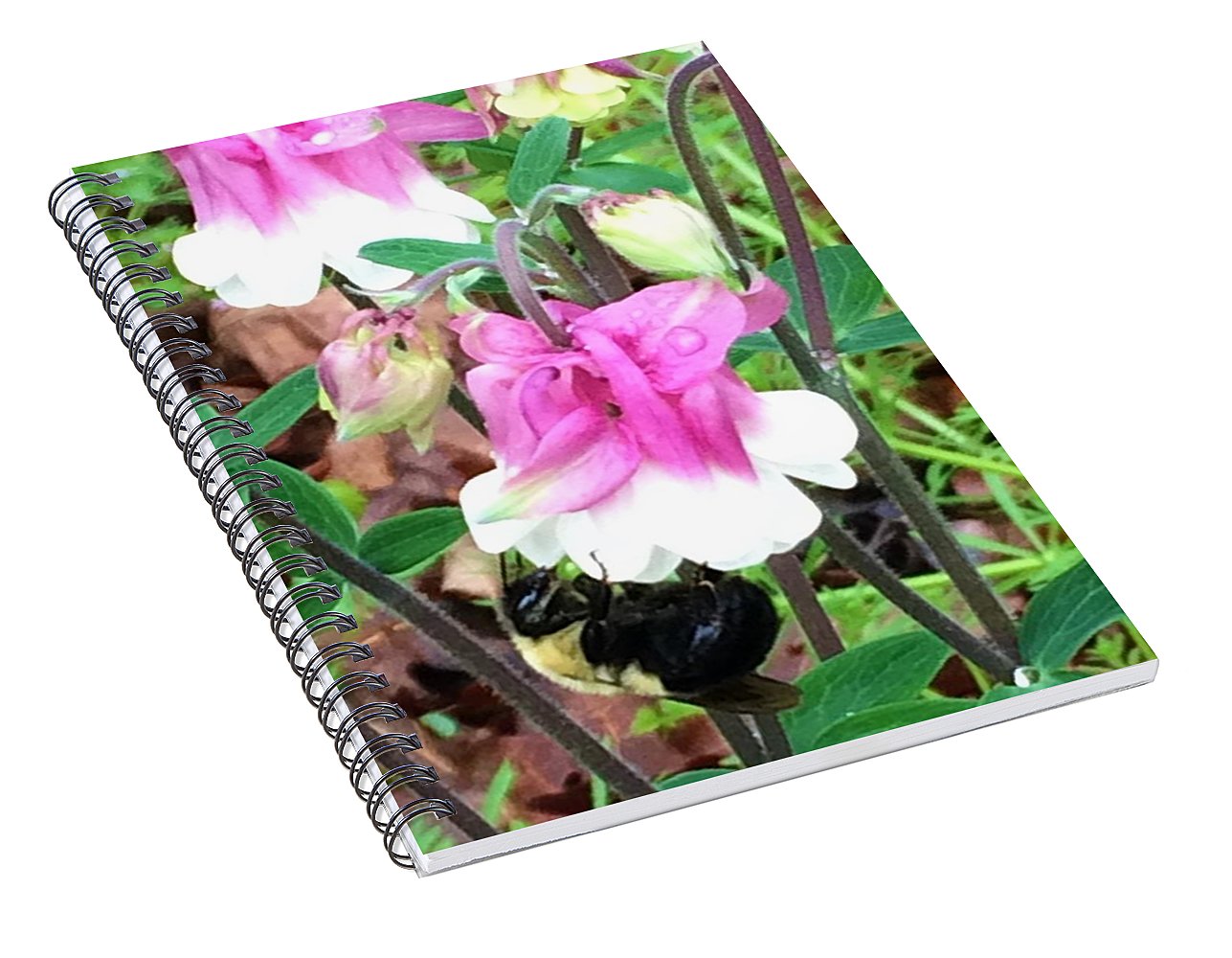 Entomophily - Spiral Notebook