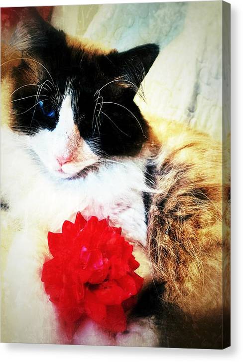 Fiona's Flower - Canvas Print