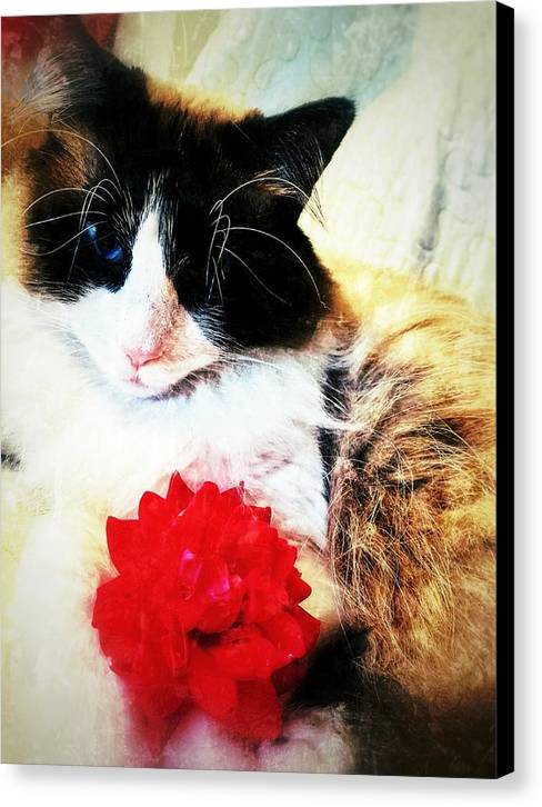 Fiona's Flower - Canvas Print