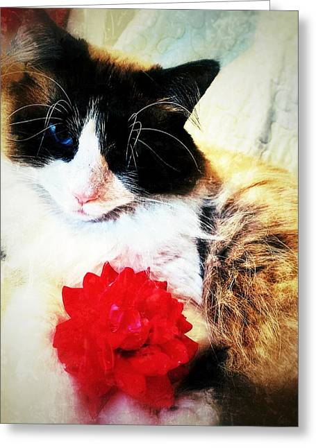 Fiona's Flower - Greeting Card