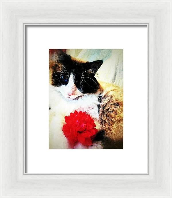 Fiona's Flower - Framed Print