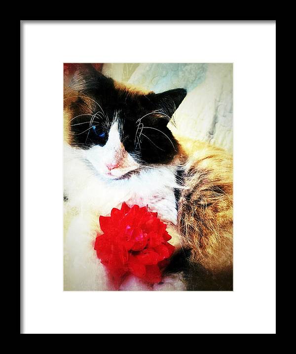 Fiona's Flower - Framed Print