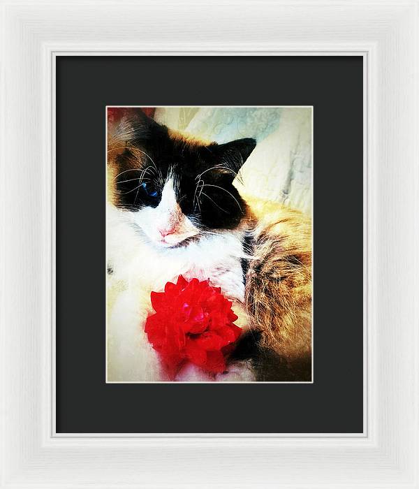 Fiona's Flower - Framed Print