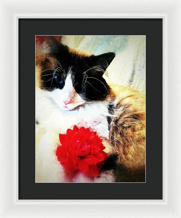 Fiona's Flower - Framed Print