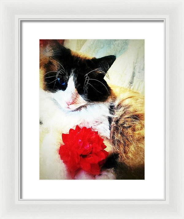 Fiona's Flower - Framed Print