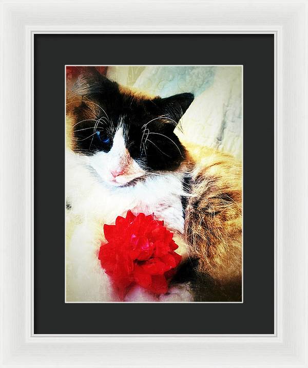 Fiona's Flower - Framed Print