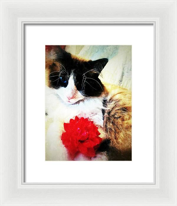 Fiona's Flower - Framed Print