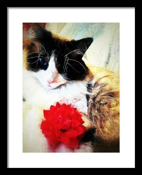 Fiona's Flower - Framed Print