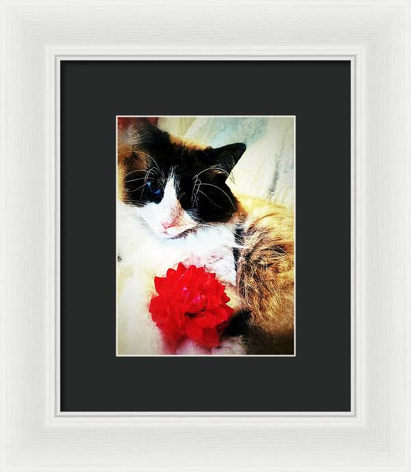 Fiona's Flower - Framed Print