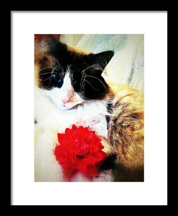 Fiona's Flower - Framed Print