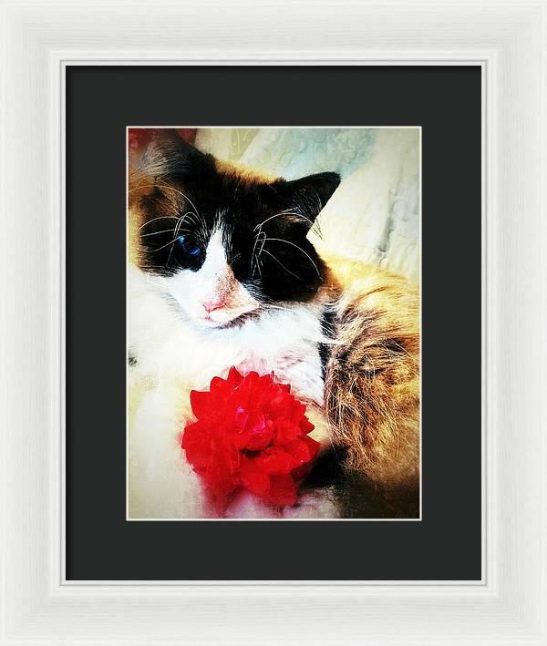 Fiona's Flower - Framed Print