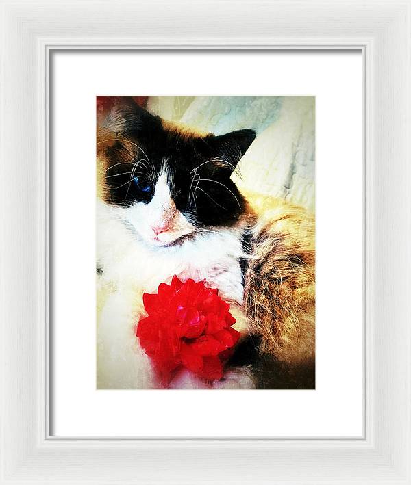 Fiona's Flower - Framed Print