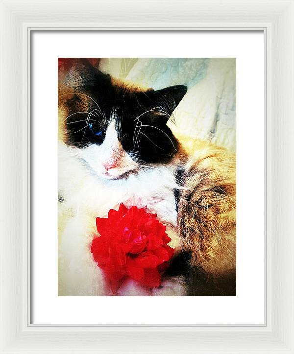 Fiona's Flower - Framed Print