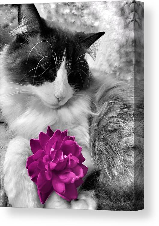 Fiona's Fuschia Flower - Canvas Print