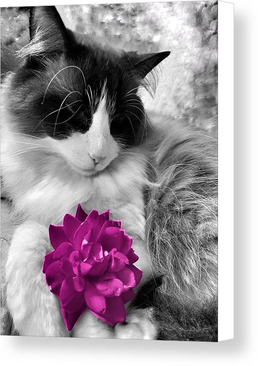 Fiona's Fuschia Flower - Canvas Print