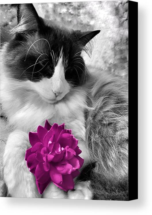 Fiona's Fuschia Flower - Canvas Print