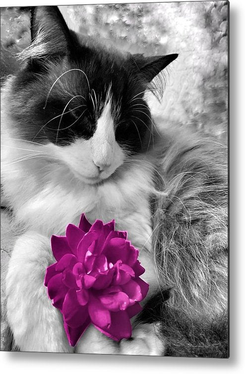 Fiona's Fuschia Flower - Metal Print