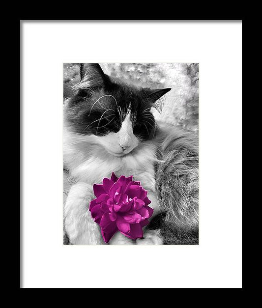 Fiona's Fuschia Flower - Framed Print