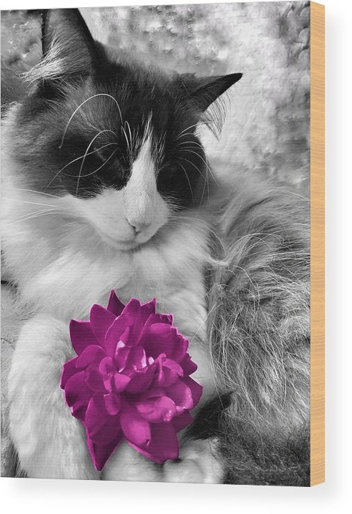 Fiona's Fuschia Flower - Wood Print