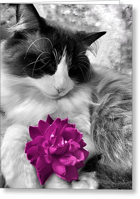 Fiona's Fuschia Flower - Greeting Card