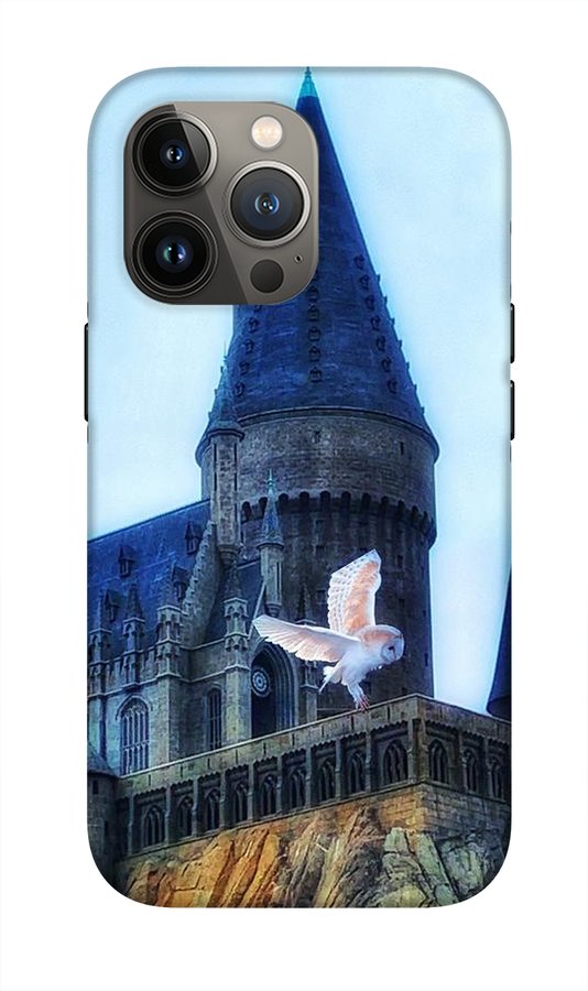 Hedwig - Phone Case