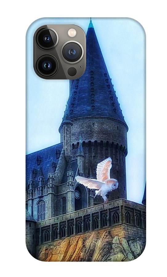 Hedwig - Phone Case