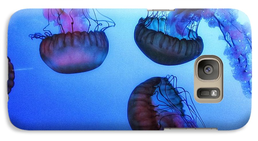 Jellyfish - Phone Case