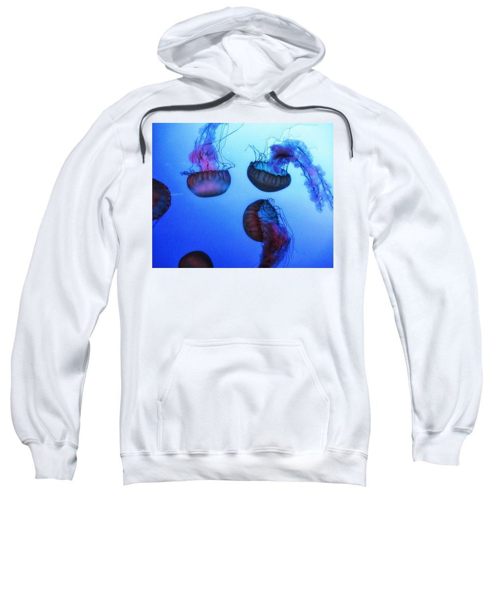 Jellyfish - Sweatshirt