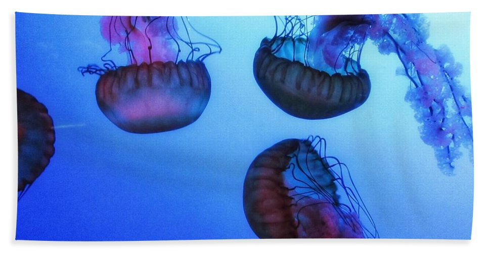 Jellyfish - Beach Towel