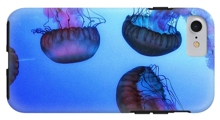 Jellyfish - Phone Case