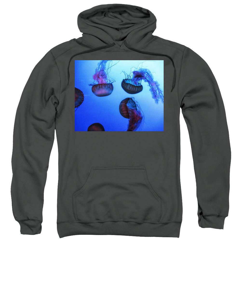 Jellyfish - Sweatshirt